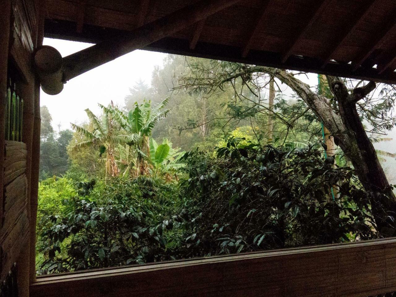 Eco Hotel El Columpio Salento Zewnętrze zdjęcie