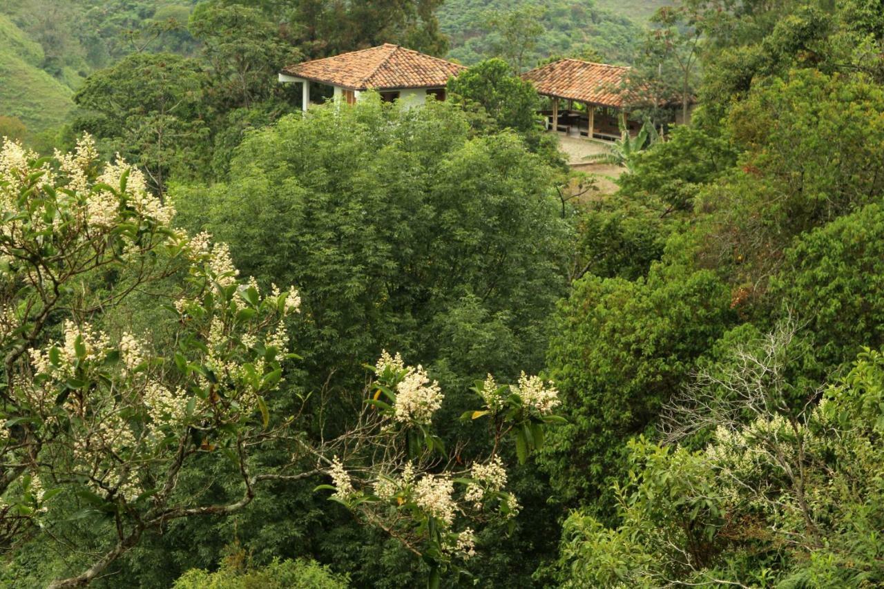 Eco Hotel El Columpio Salento Zewnętrze zdjęcie
