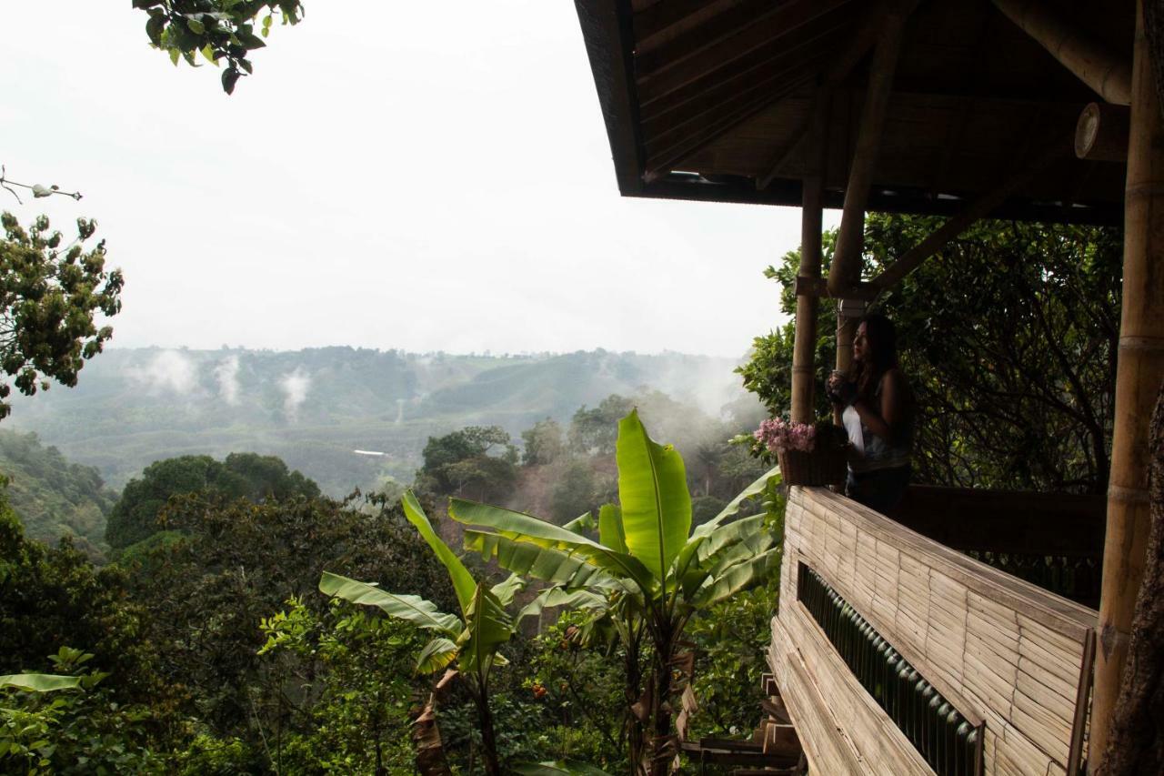 Eco Hotel El Columpio Salento Zewnętrze zdjęcie